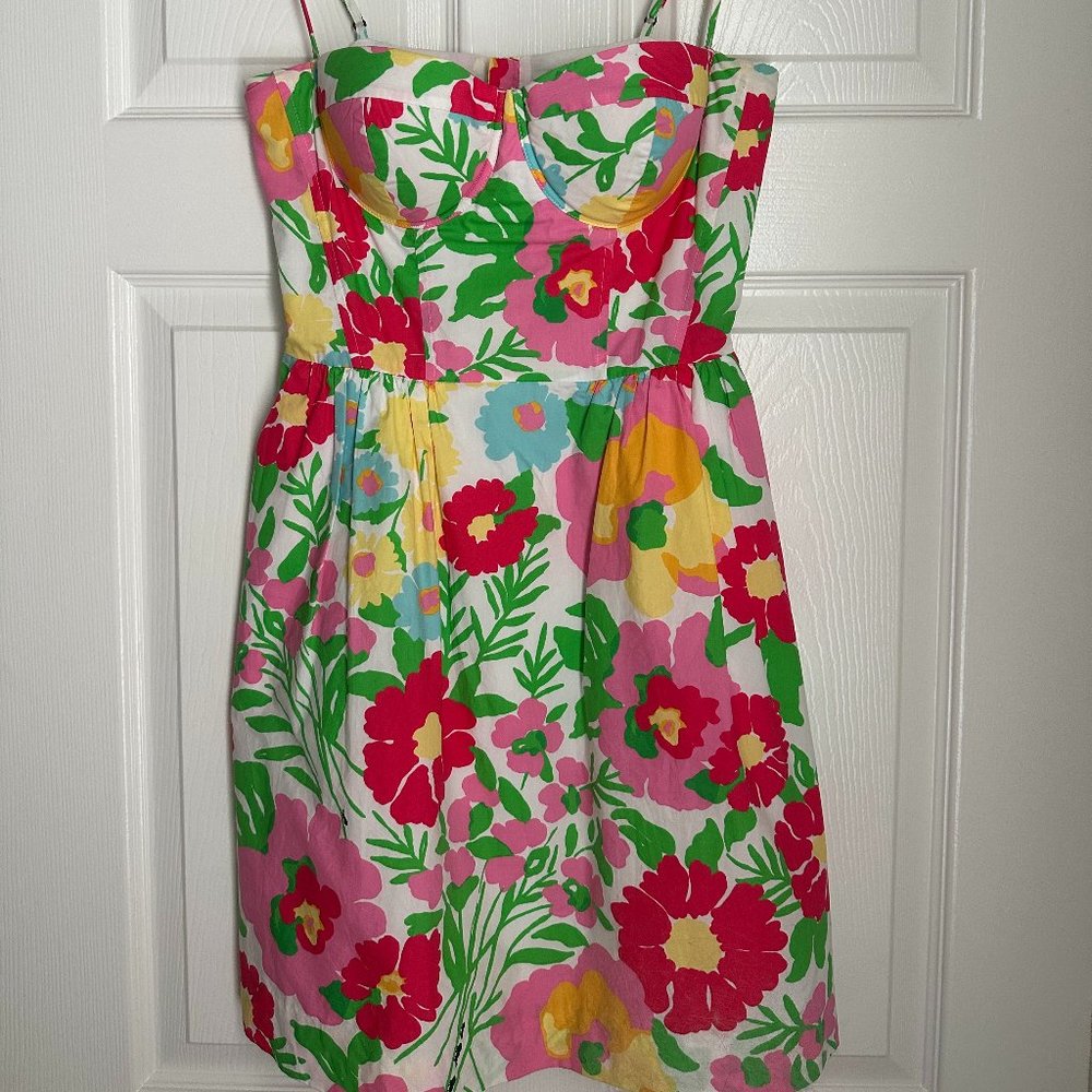 Lilly Pulitzer Willow Dress Size 2